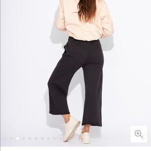 Black Pact Wide Leg Pant